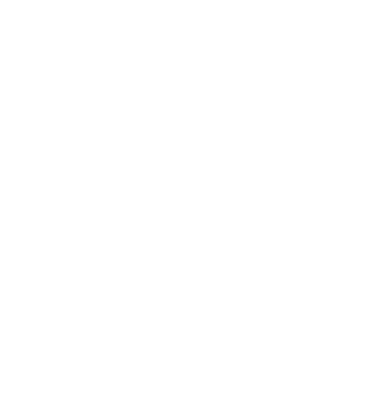 SSN Akademie Logo